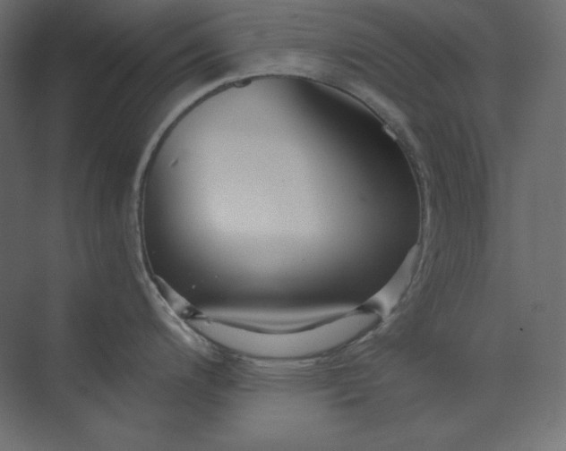 X0000073901200200608251449