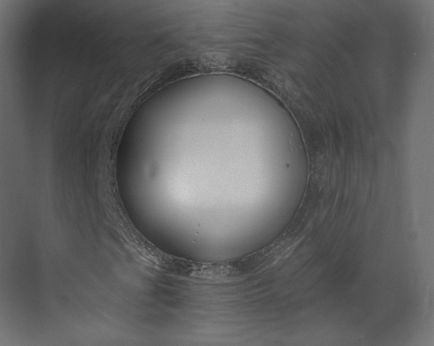 X0000073901201200608251448