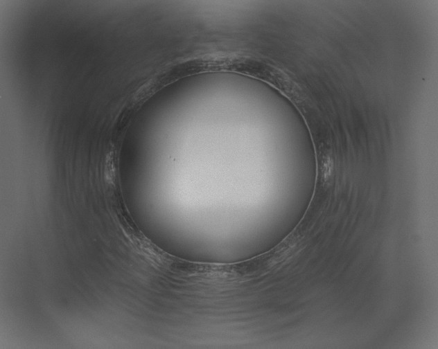 X0000073901204200608251448