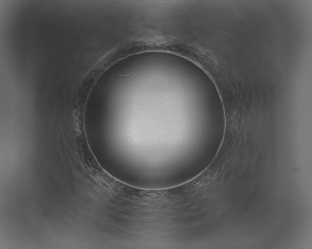 X0000073901205200608251448