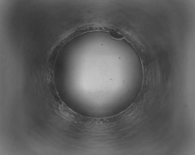 X0000073901207200608251448