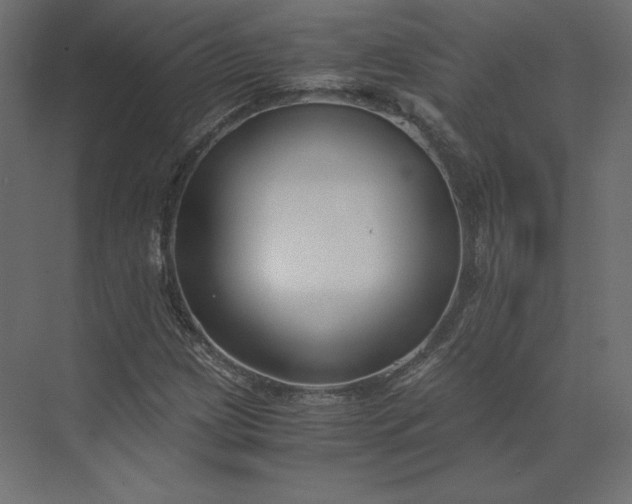 X0000073901209200608251448