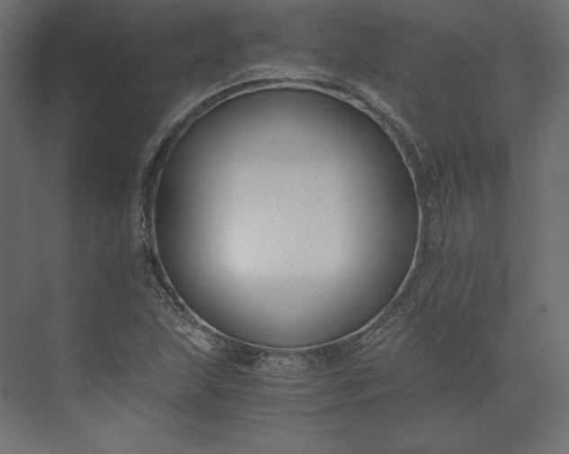 X0000073901215200608251448