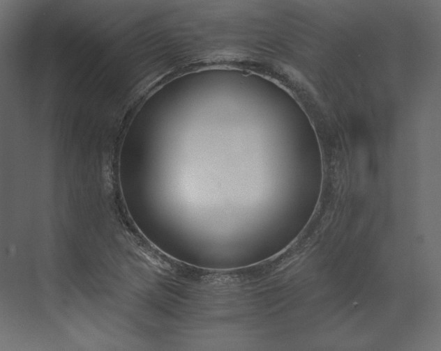 X0000073901217200608251448