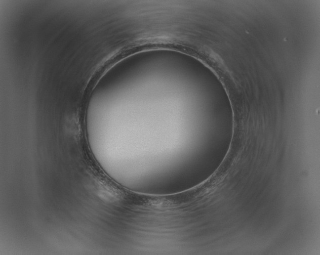 X0000073901218200608251448