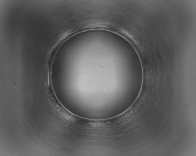 X0000073901219200608251448