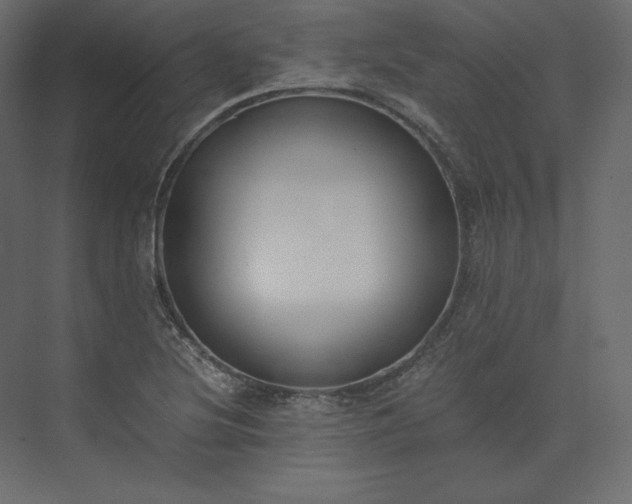 X0000073901220200608251448