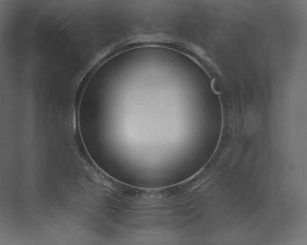 X0000073901221200608251448