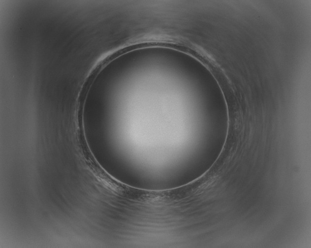 X0000073901222200608251449