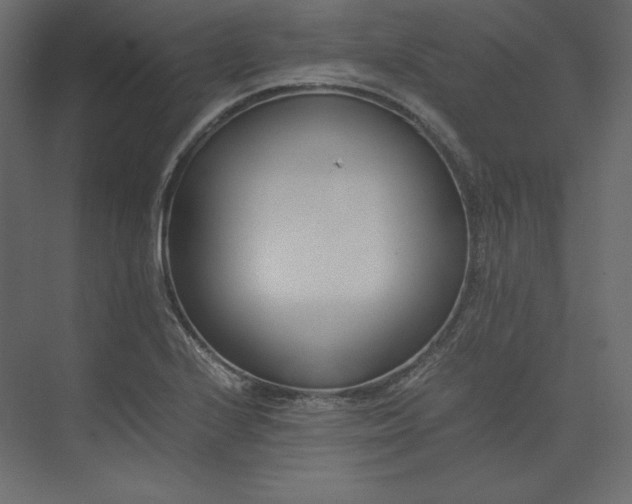 X0000073901224200608251449