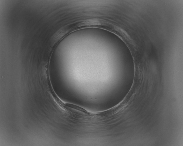 X0000073901225200608251449