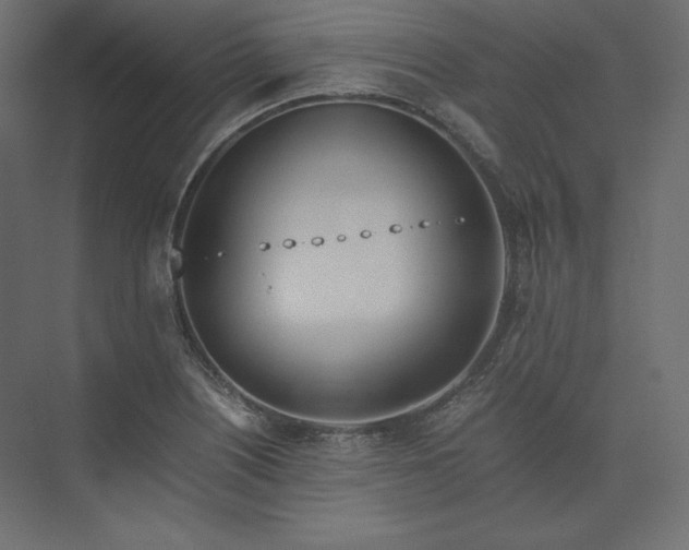 X0000073901226200608251449