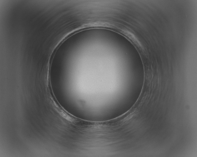 X0000073901228200608251449