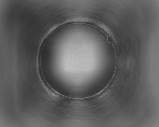 X0000073901229200608251449