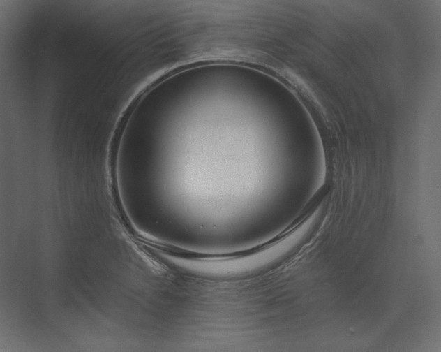 X0000073901230200608251449