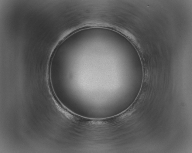 X0000073901231200608251449