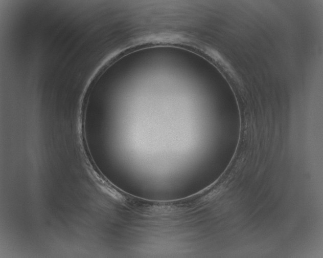 X0000073901232200608251449