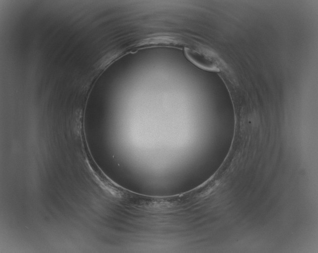 X0000073901233200608251449