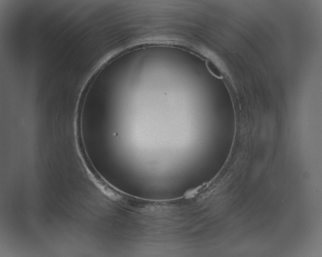 X0000073901237200608251449