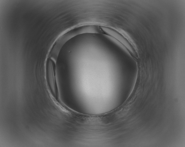 X0000073901238200608251449