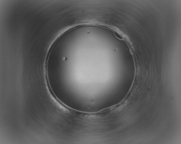 X0000073901239200608251449