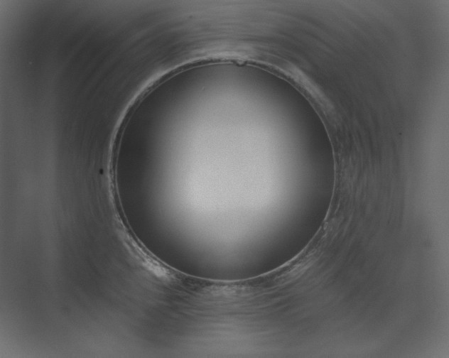 X0000073901240200608251449