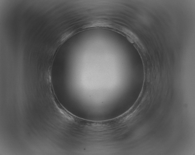 X0000073901241200608251449