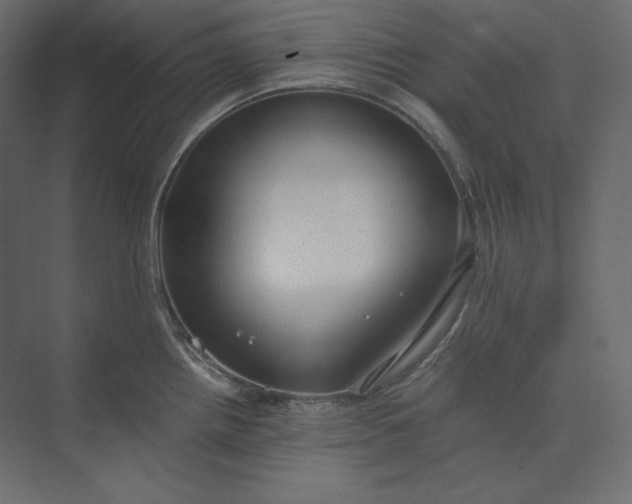 X0000073901242200608251449