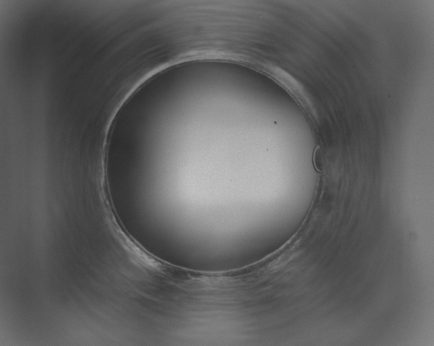 X0000073901244200608251449