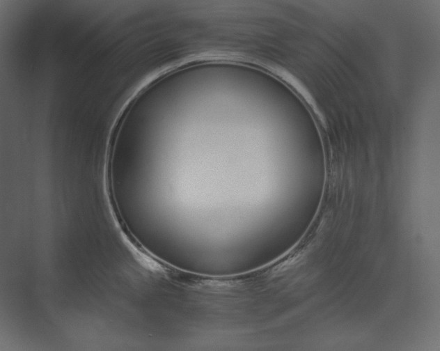 X0000073901245200608251449