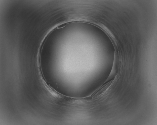 X0000073901246200608251449