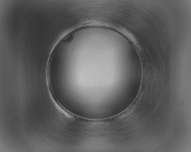 X0000073901247200608251449