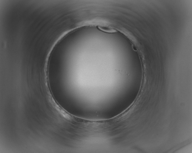 X0000073901248200608251449