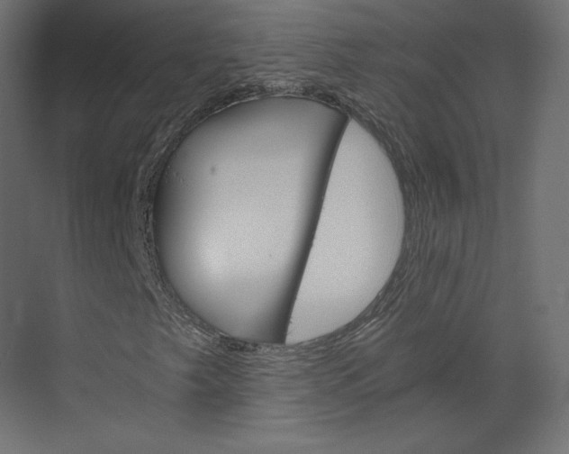 X0000073901249200608251448