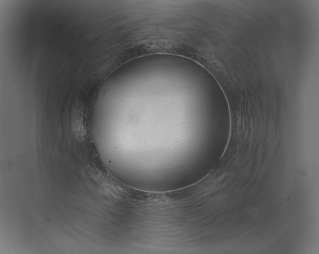 X0000073901250200608251448