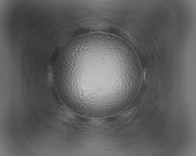 X0000073901251200608251448