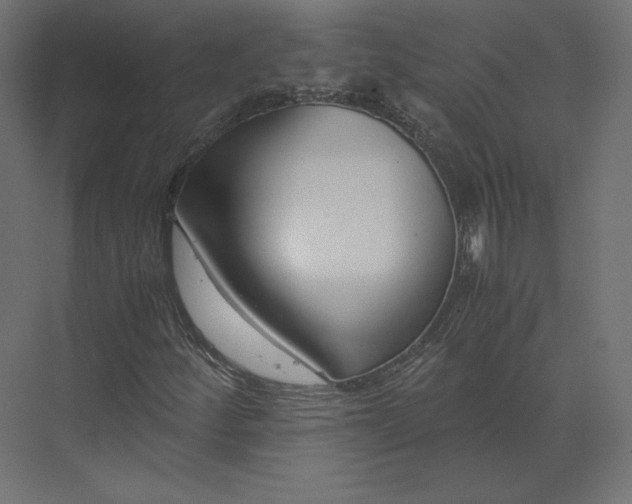 X0000073901252200608251448