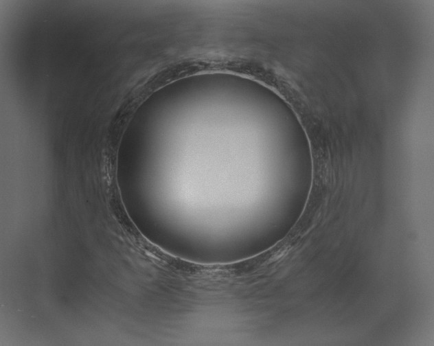 X0000073901253200608251448