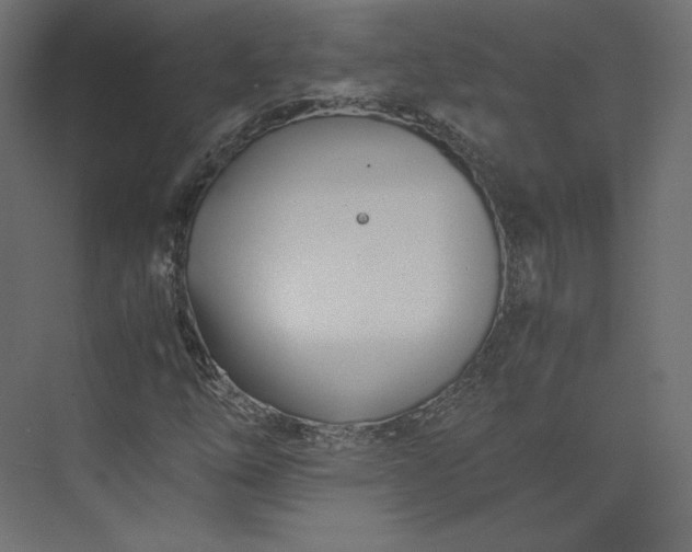 X0000073901254200608251448