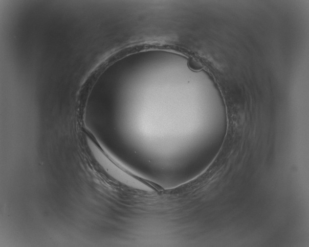 X0000073901256200608251448