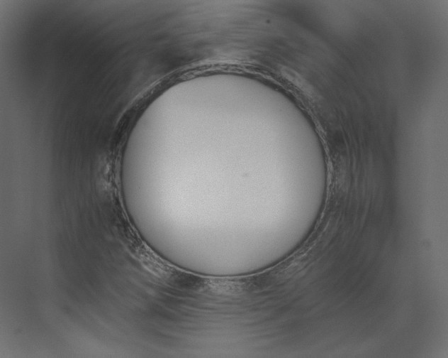 X0000073901258200608251448