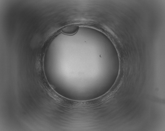 X0000073901259200608251448