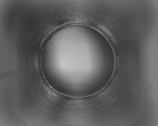 X0000073901260200608251448