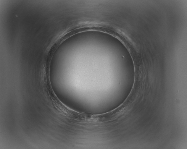 X0000073901261200608251448