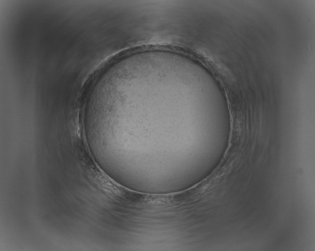 X0000073901262200608251448