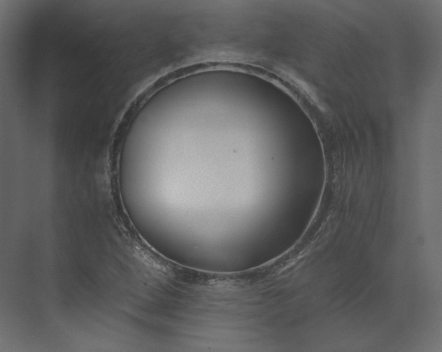 X0000073901264200608251448