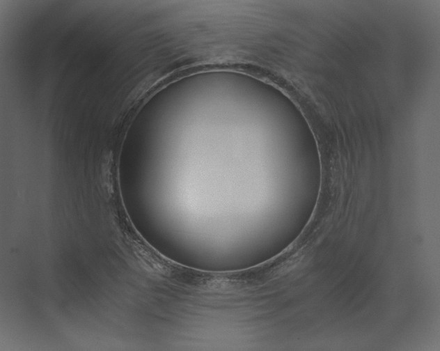 X0000073901265200608251448