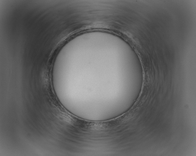 X0000073901266200608251448