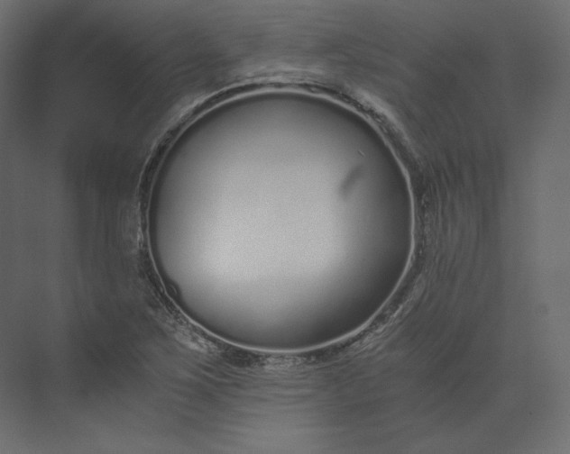 X0000073901267200608251448