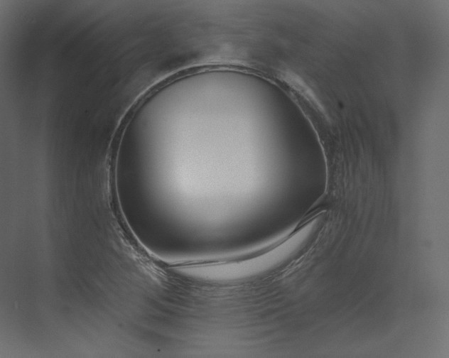 X0000073901268200608251448